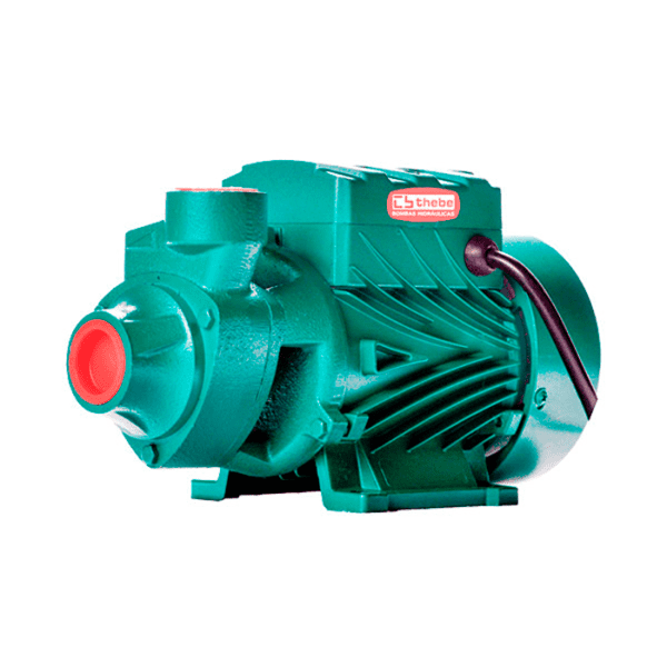 BOMBA PARA AGUA THEBE 1.0 HP TP-80 115/230V